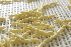 Alb-Gold Pasta Produktion Strozzapreti