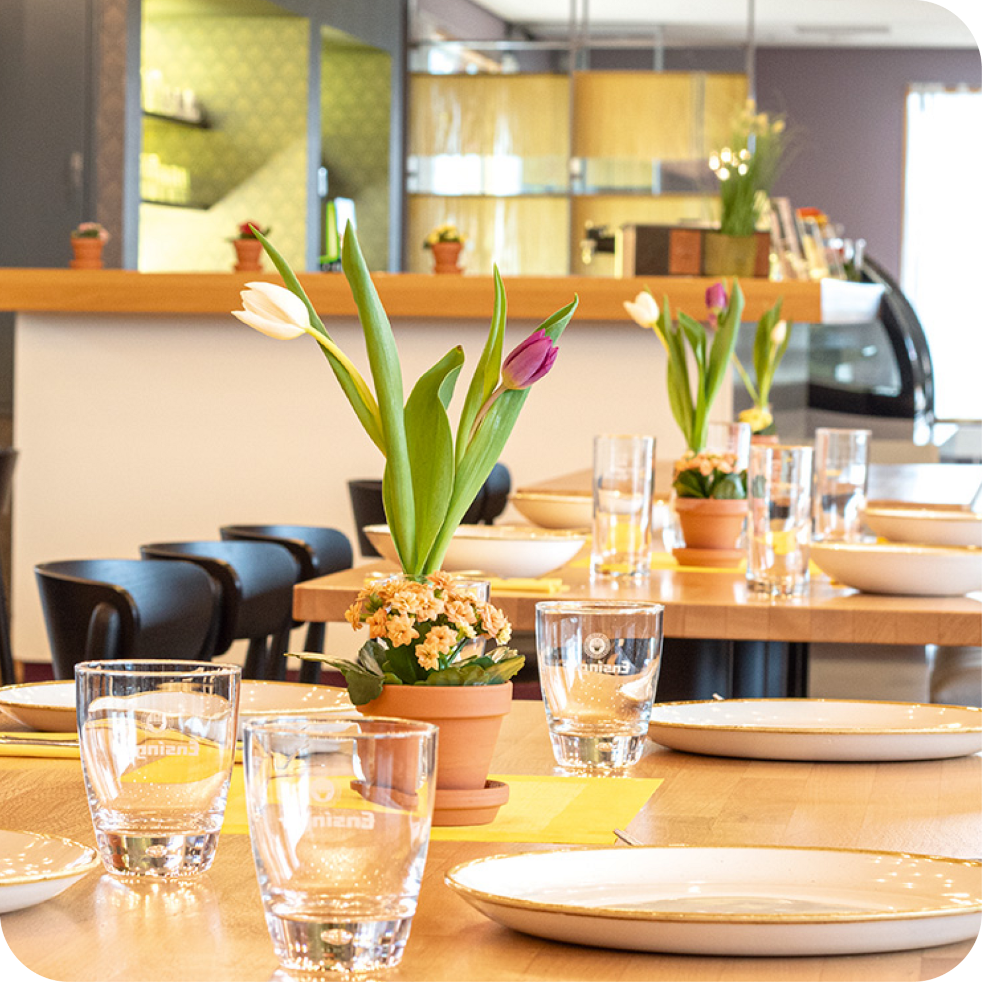 Blumentopf mit Tulpen als Tischdeko im Restaurant.