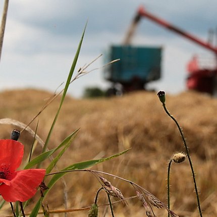 From Farm to Farfalle