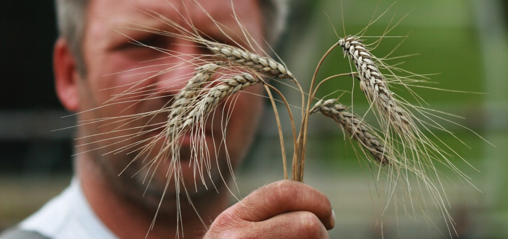 Tafelrunde „Naturnahe Firmenareale & Biodiversitätsmanagement“