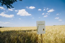 Die Hartweizenfelder sind mit Info-Schildern gekennzeichnet